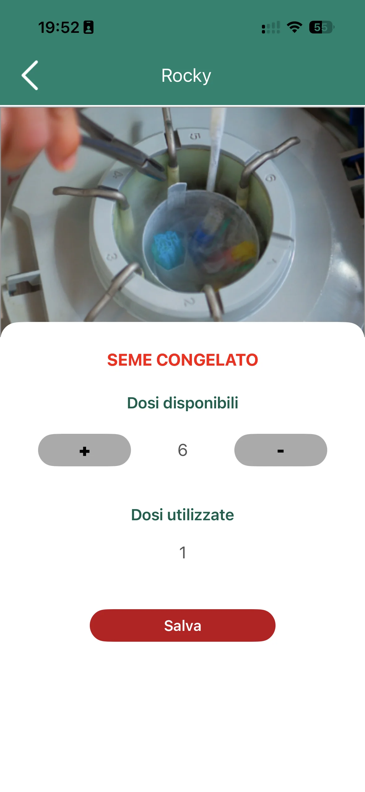 Equibreedvet, versione mobile: gestione del seme