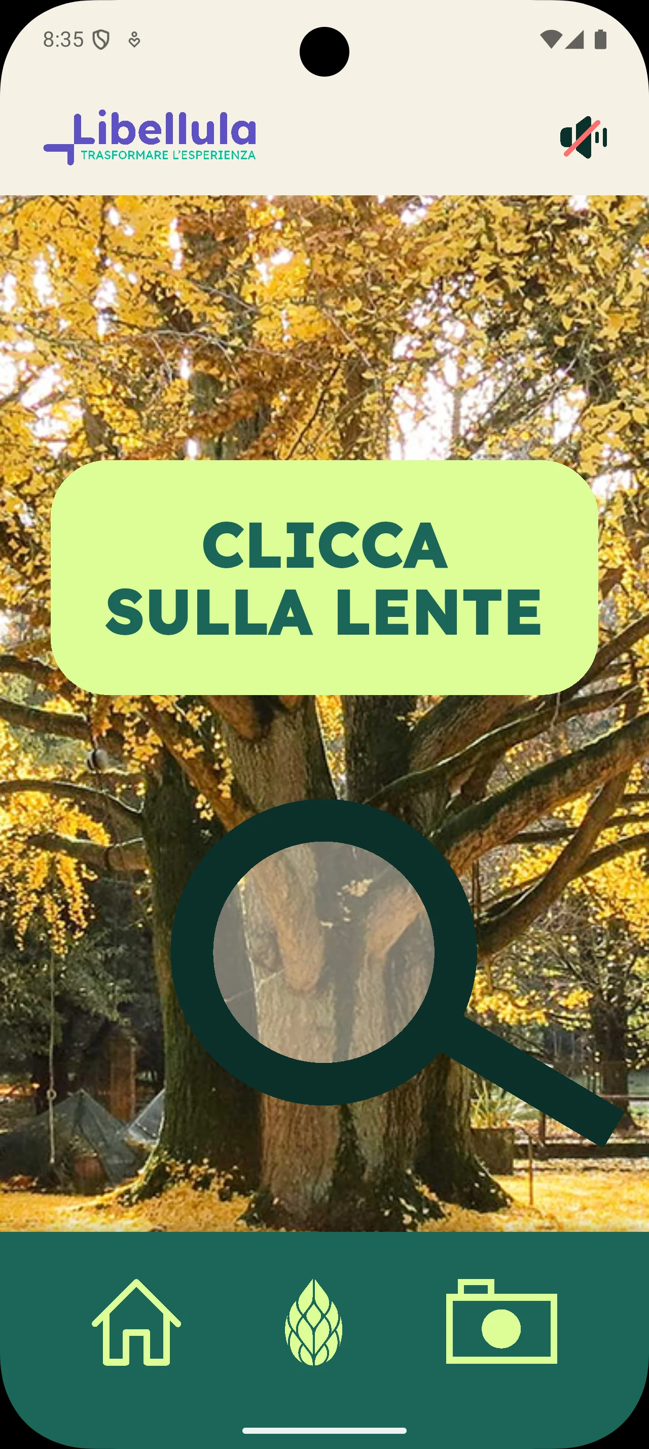 Libellula, versione mobile: lente durante la visita