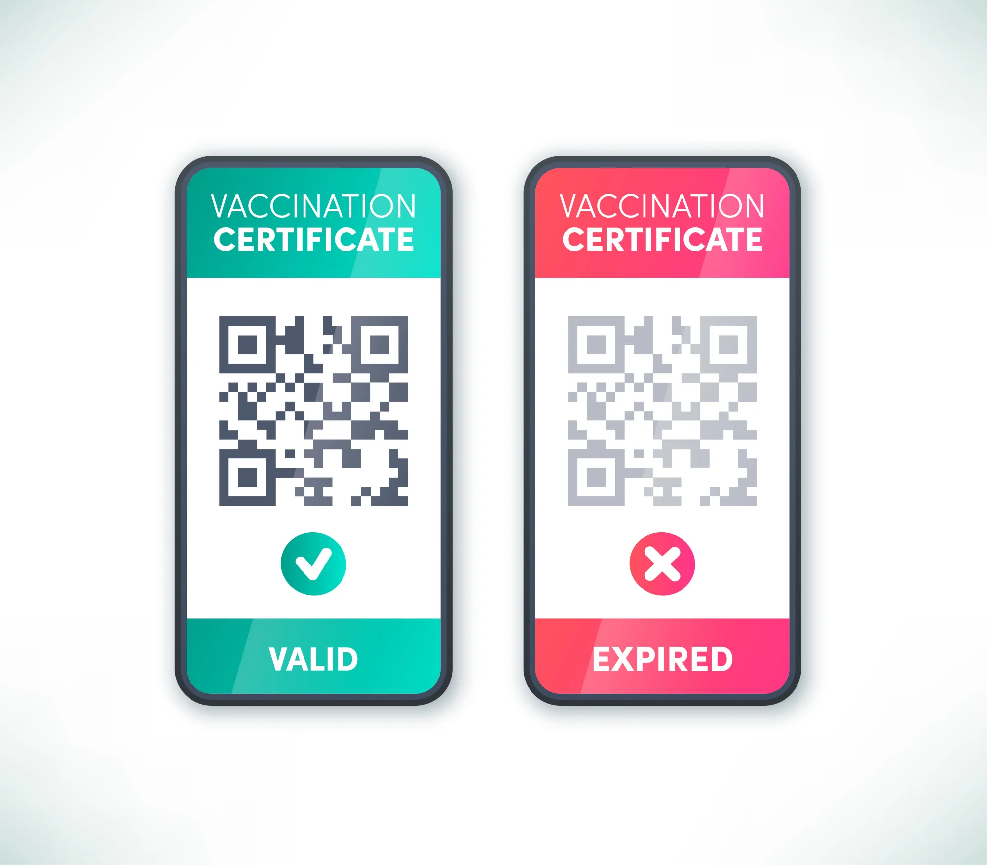 come funziona l'app per leggere il green pass? Pizero Design